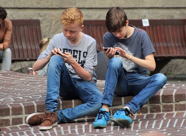 mobile battery