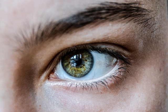 eyes