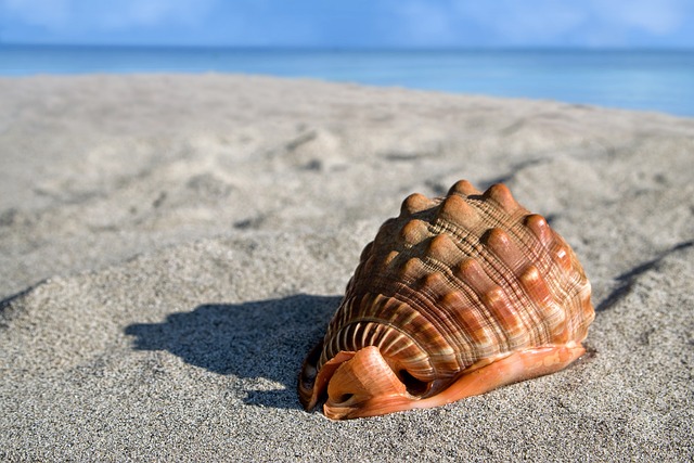 beach