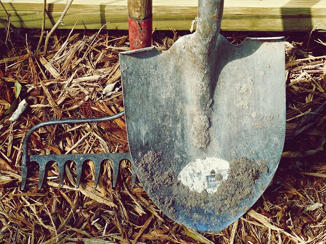 gardening