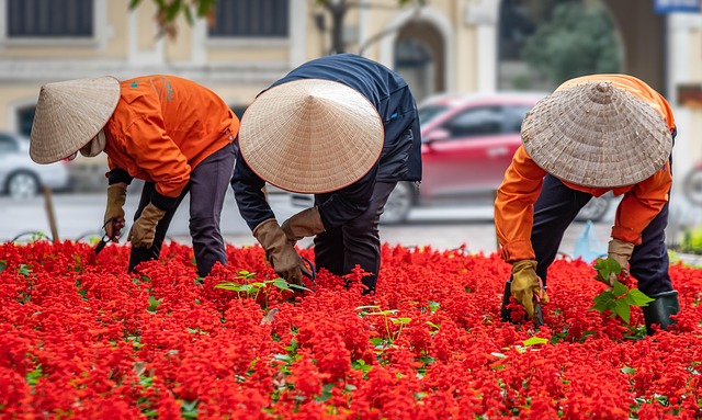 gardening